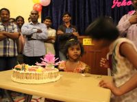 Shiba Birthday